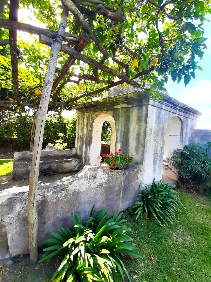 O' Suppigno - Historic House Apartamento Procida Exterior foto